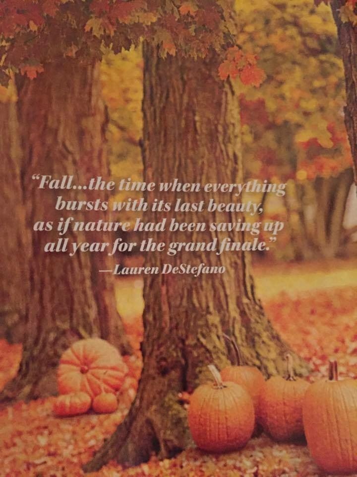 The sacrificial gift