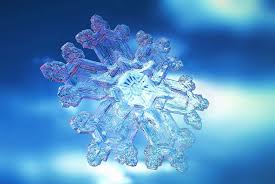 Beauty Restored The Mage’s Son&nbsp;Chapters